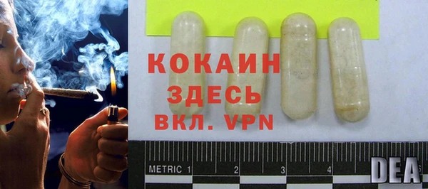 гидра Белокуриха