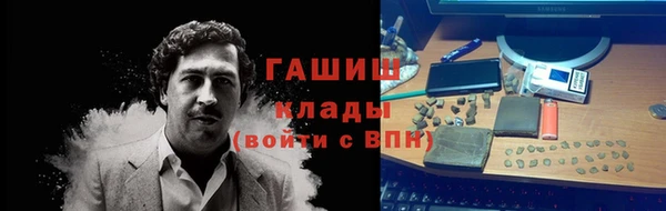 гидра Белокуриха