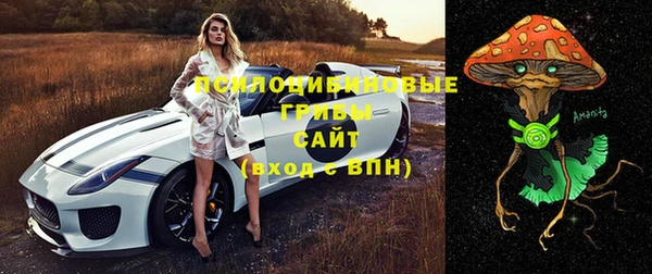 трава Белоозёрский