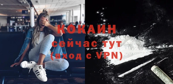 гидра Белокуриха