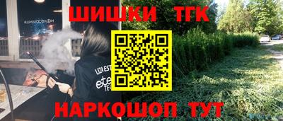ALPHA PVP Гай