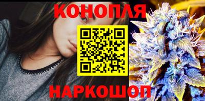 МДПВ Гатчина
