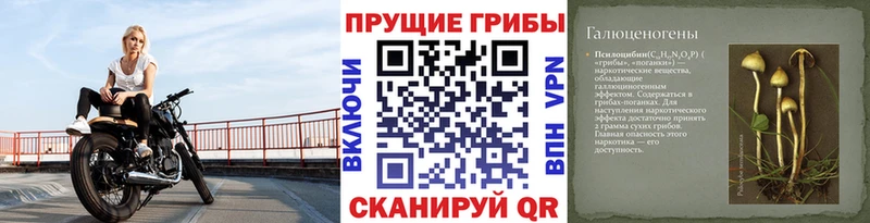 блэк спрут сайт  Улан-Удэ  Галлюциногенные грибы Magic Shrooms  магазин  наркотиков 