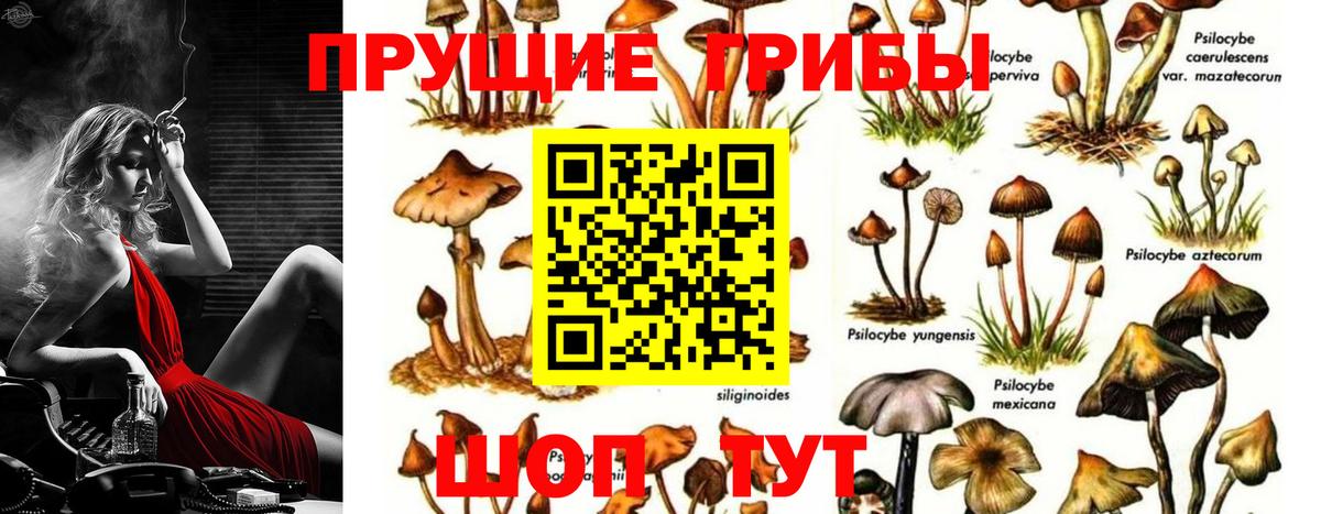 Галлюциногенные грибы Cubensis Улан-Удэ